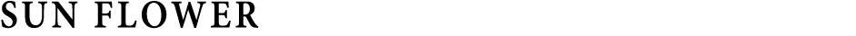 SUN FLOWER