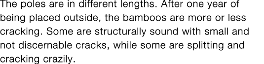 The poles are in different lengths  After one year of being placed outside, the bamboos are more or less cracking  So   