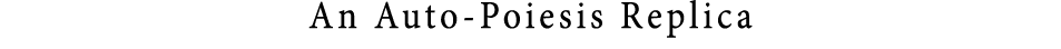 An Auto-Poiesis Replica
