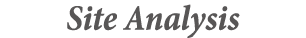 Site Analysis
