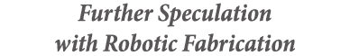 Further Speculation with Robotic Fabrication